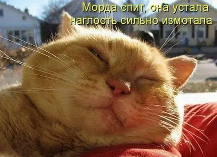Откъде знаеш, че това, което човек мисли, че четенето на мисли е възможно психологическа помощ онлайн