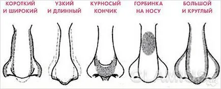 Как да кандидатствате основа - на правилното прилагане на фондация
