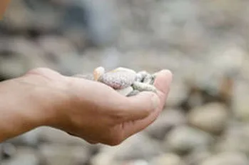 Как да очарова едно момче, което наистина харесвам