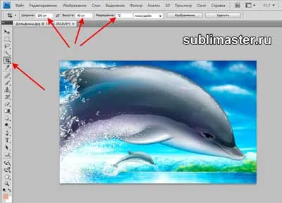Как да се намали образа на парчета в Photoshop, sublimaster (нарязани) Как да се намали образа на парчета в Photoshop, sublimaster