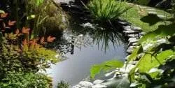 Как да направите водата в езерото, езерото никога mutnela живота ми
