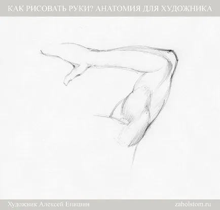 Как да се направи ръцете анатомия за художници