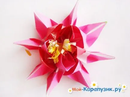 Как да си направим хартия лотос от ръцете му