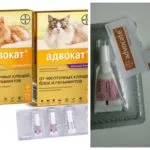Ügyvéd csepp kutyáknak és macskáknak marmagasság útmutató és vélemények