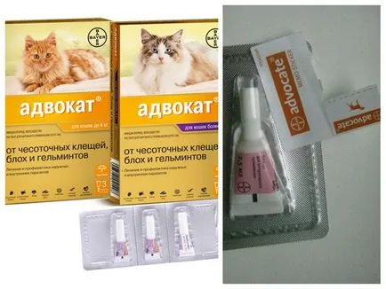 Ügyvéd csepp kutyáknak és macskáknak marmagasság útmutató és vélemények