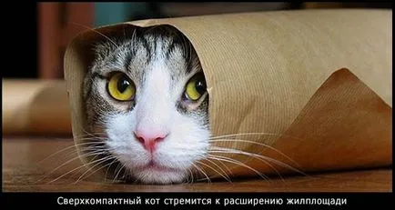 Как да сте студент, 10 съвета