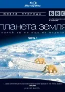Как Вселената - (2010