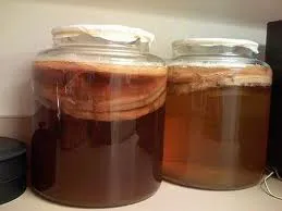 Как да расте на Kombucha, капитанът