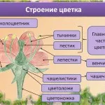 Как да задам един въпрос във връзка