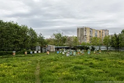 Живях в манастир (част 2), по-свежа - най-доброто от деня, в който ще се наложи!