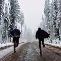 Какво сън книга мечтая болница болница сънувахме