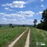 Защо мечтата на зелена трева