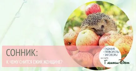 Какво мечта таралеж жена