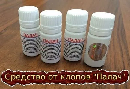 Бъгс в къщата, където са и как да се отървете от собствената си