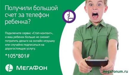 Съдържание мегафон услуга