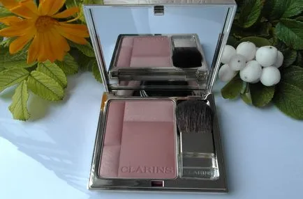 Компактни руж Clarins руж prodige (сянка номер 05 розово дърво) - коментари, снимки и цена