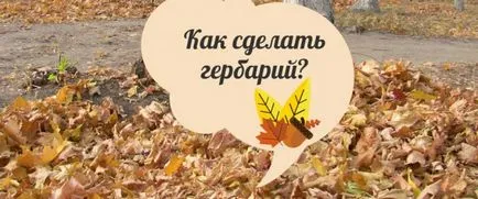 Archives kreativitás és kézművesség - szórakoztató tudományos