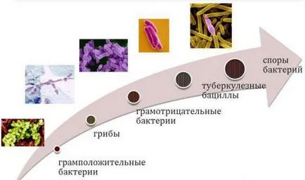 Antibiotikumok a gyulladás a vesék és a húgyhólyag tabletták (hólyag) Antibiotikumok a gyulladás a vesék és a húgyhólyag tabletták
