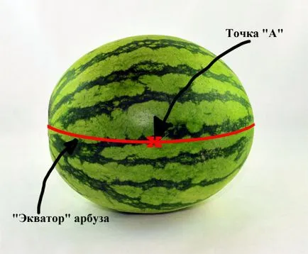 Кошница от диня (изпитате неопитен Карвър), самата