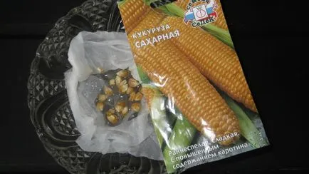 Царевица, всичко за израстването в страната