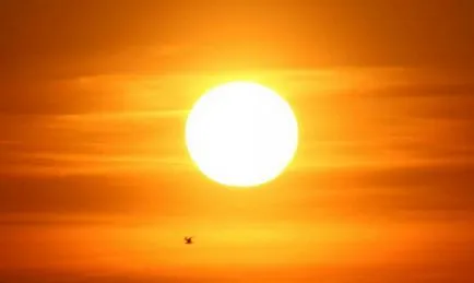 биологичен цикъл