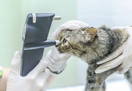 Час Ветеринарна клиника Zoovet (Zoovet) Час Ветеринарна клиника Zoovet