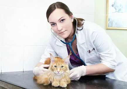 Час Ветеринарна клиника Zoovet (Ветеринарни) Час Ветеринарна клиника Zoovet