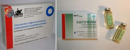 Лечение на стафилококи