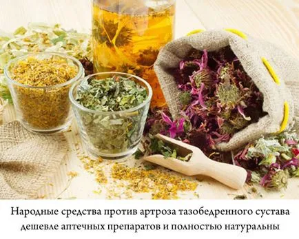 Лечение на остеоартрит на бедрото народната отстранява, отзиви (лечение) Лечение на остеоартроза на тазобедрената народната медицина прегледи