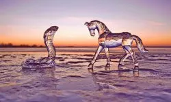 Един кон и маймуна в любовта съвместимост в китайския хороскоп