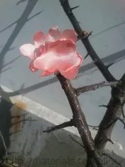 Майсторски клас дърво Cherry Box
