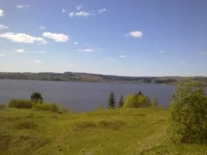 нос стрелка