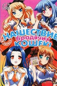 Нашествие на бездомни котки! Гледайте аниме онлайн безплатно всички серии