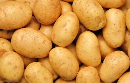 Възможно ли е да се даде едно куче с картофи, всичко за кучета