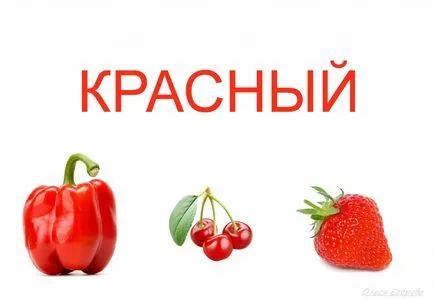 Ние започваме да се проучи цвят информационен портал макс-DV медиите