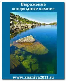 Вие не може да седи в локва дори до задънена улица, искам да знам всичко