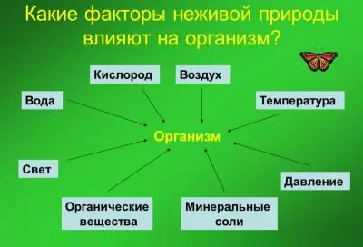 Обекти на неживата природа
