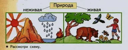 Обекти на неживата природа