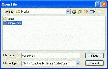 Audio formátumok típusok és leírások