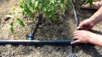 Automatikus csepegtető öntözőrendszer gyártás saját kezét, amelyben egy üvegház, fotó, videó (rendszer) Automatikus csepegtető öntözőrendszer gyártás saját kezét, amelyben egy üvegház, fotó, videó