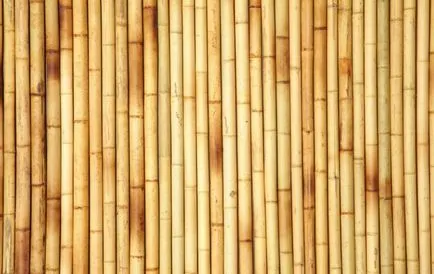 Bambusz panel (fotó)