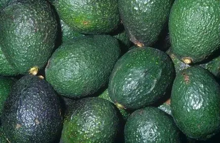 Avocado - hogyan kell enni rendesen, szendvicsek receptek, hogy mennyit lehet enni egy nap, milyen