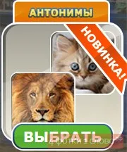С една дума, отговаря на възможностите му игра Vkontakte и съученици на