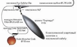Особености шаран - тайните на успешния риболов