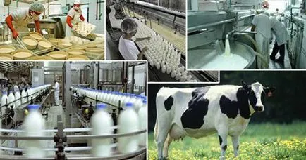 Основните продукти са различни видове селскостопански животни