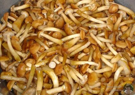 Мариновани гъби рецепти