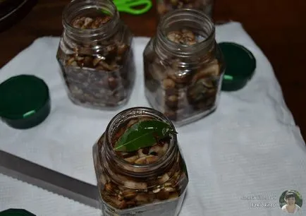 Мариновани гъби рецепти