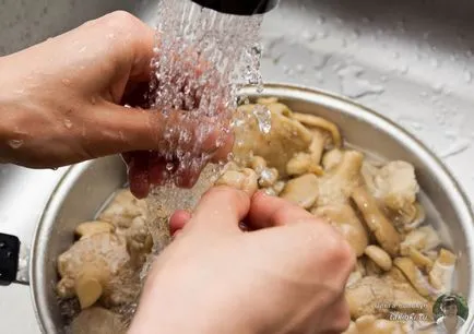 Мариновани гъби рецепти