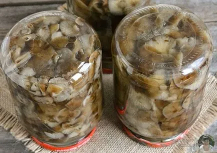 Мариновани гъби рецепти