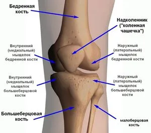 Остра болка в коляното - защо това се случи, и внезапното пулсираща болка в коляното